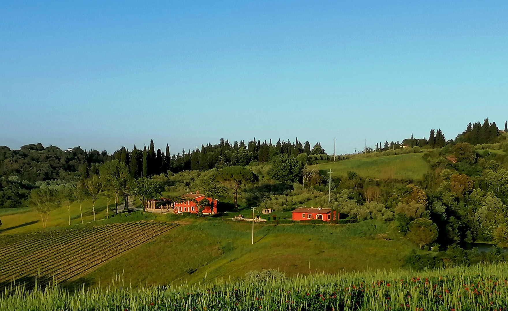 Maramaldo la tenuta